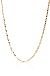 14 Ayar Altın İnce Pullu Zincir - 2