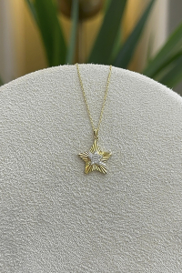 14 Ayar Altın Yıldızlı Kolye - bende